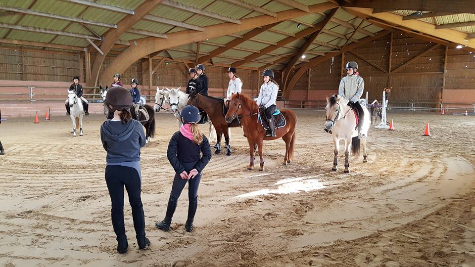 Stage Lamotte Poneys